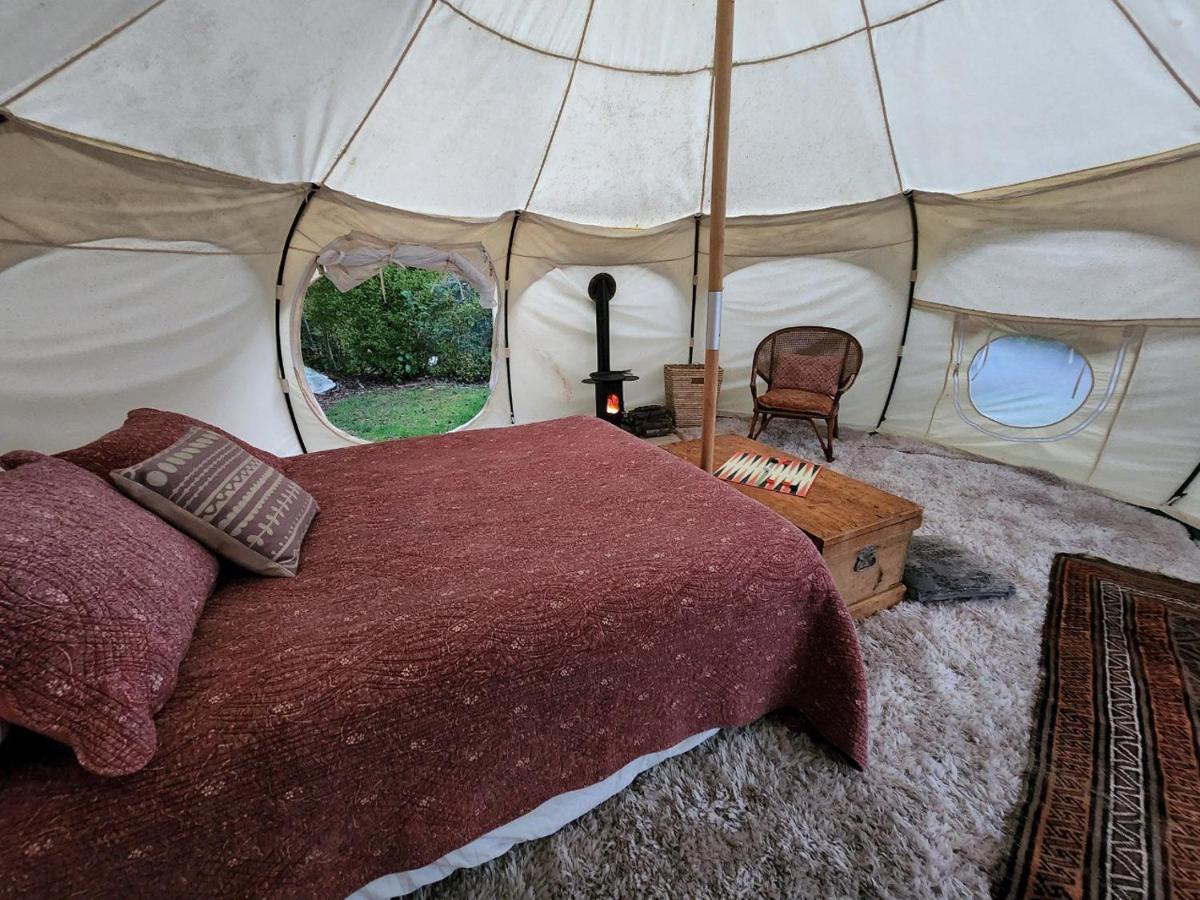 Possum Lodge Manapouri Eksteriør billede